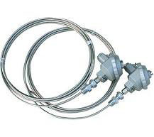 铠(kǎi)裝熱電阻