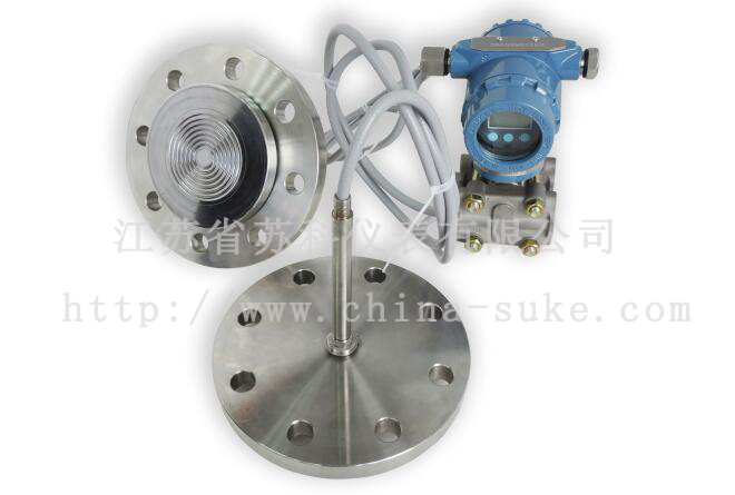 雙法蘭液位(wei)變送器産品(pǐn)圖