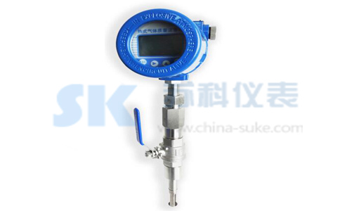 插入式(shi)熱式氣體質(zhì)量流量計圖(tu)示