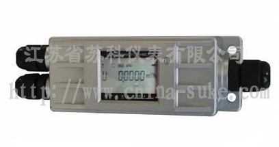 固定一(yī)體基本(běn)型超聲(shēng)波流量(liàng)計