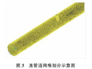 插入式電磁流(liu)量計直管道網格(ge)劃分示意圖