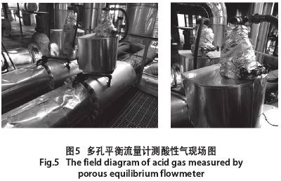 多孔平衡流(liú)量計測酸性(xing)氣現場圖示(shì)