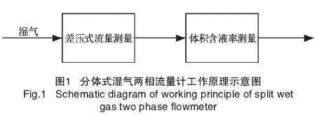 分(fèn)體式濕氣(qi)兩相流量(liàng)計工作原(yuán)理圖示