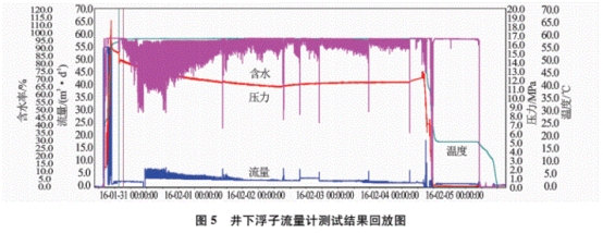 井下浮子流(liú)量計測試結果(guǒ)回放圖
