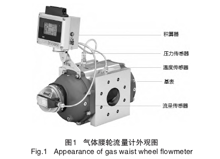 氣體腰(yao)輪流量計(jì)外觀圖