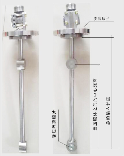 頂裝(zhuang)型差壓式密度計(ji)圖示
