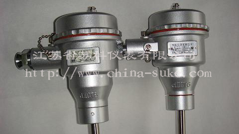 隔(ge)爆型熱電偶(ǒu)