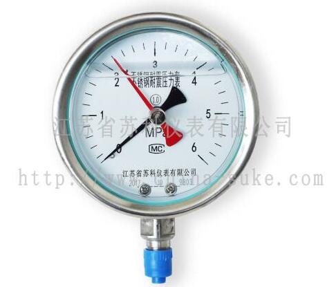 記(ji)憶型壓(ya)力表産(chǎn)品圖