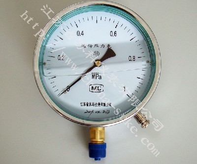 電阻遠(yuǎn)傳耐震壓(yā)力表