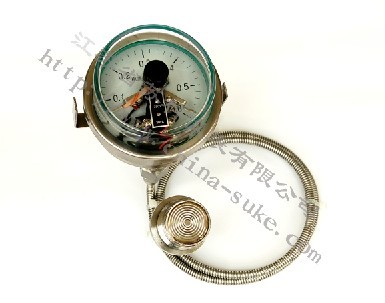 隔離式耐(nài)震磁助電(dian)接點壓力(li)表