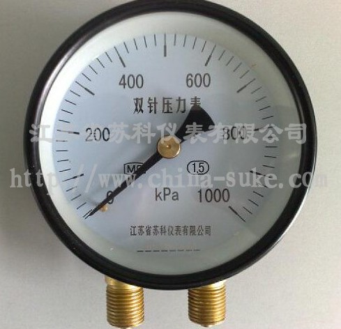 雙(shuāng)針壓力(lì)表
