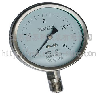 不鏽鋼膜(mo)盒壓力表(biǎo)